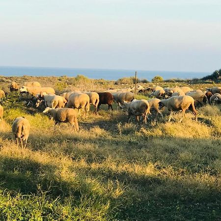 Pensjonat Alojamiento Mar Y Montana Almería Zewnętrze zdjęcie