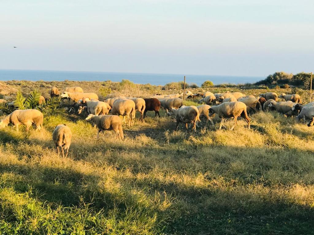 Pensjonat Alojamiento Mar Y Montana Almería Zewnętrze zdjęcie